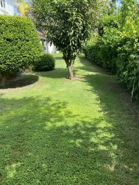 3-BR Villa, Prachuap Khiri Khan, Hin Lek Fai, Hua Hin, Prachuap Khiri Khan, 3 Bedrooms, 150 sqm, Villa For Rent, by Phonphen Tangphong, 500268248 - DDproperty.com