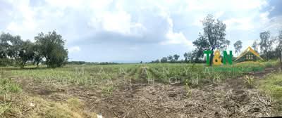 ขาย - ที่ดินเปล่า พัฒนานิคม ลพบุรี 24 - 3 - 94.5 ไร่ ติดถนนใหญ่, ลพบุรี