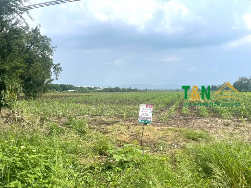ขาย - ที่ดินเปล่า พัฒนานิคม ลพบุรี 24 - 3 - 94.5 ไร่ ติดถนนใหญ่, ลพบุรี