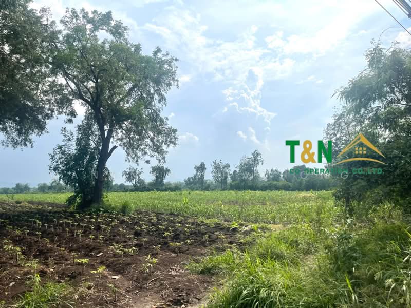 ขาย - ที่ดินเปล่า พัฒนานิคม ลพบุรี 24 - 3 - 94.5 ไร่ ติดถนนใหญ่, ลพบุรี