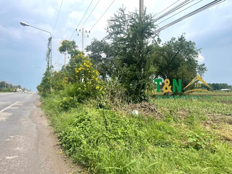 ขาย - ที่ดินเปล่า พัฒนานิคม ลพบุรี 24 - 3 - 94.5 ไร่ ติดถนนใหญ่, ลพบุรี