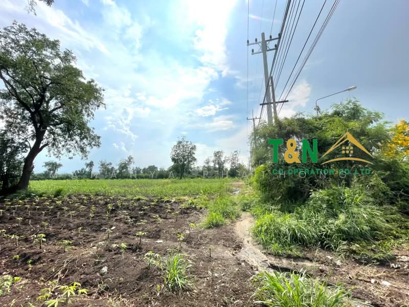 ขาย - ที่ดินเปล่า พัฒนานิคม ลพบุรี 24 - 3 - 94.5 ไร่ ติดถนนใหญ่, ลพบุรี