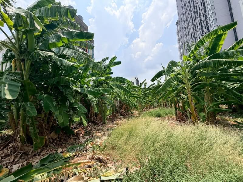 Vacant Land on Sukhumvit 63 Ekkamai Main Road, Bangkok, Khlong Tan Nua, Watthana, Bangkok, , 4,584 sqm, Land For Sale, by Chanitnun Mewongukote, 500268313 - DDproperty.com
