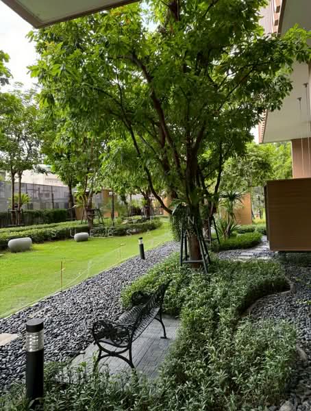M Jatujak, Bangkok, Phahonyothin Road, Chatuchak, Chatuchak, Bangkok, 1 Bedroom, 36 sqm, Condo For Sale, by Jakree Buajatturat, 500268503 - DDproperty.com