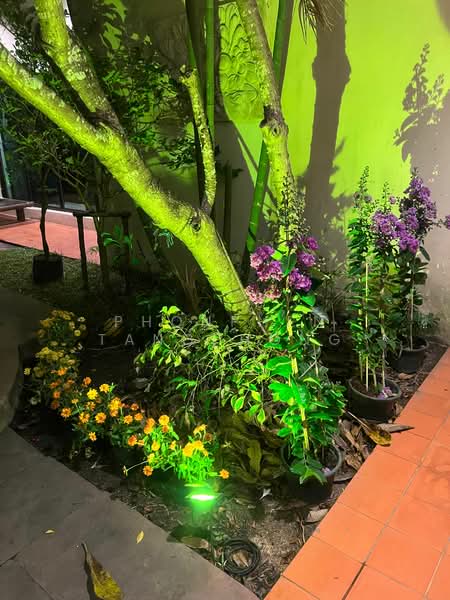 undefined, Chon Buri (Pattaya), Huai Yai, Bang Lamung (Pattaya), Chon Buri (Pattaya), 3 Bedrooms, 250 sqm, Single Detached House For Rent, by Phonphen Tangphong, 500268599 - DDproperty.com