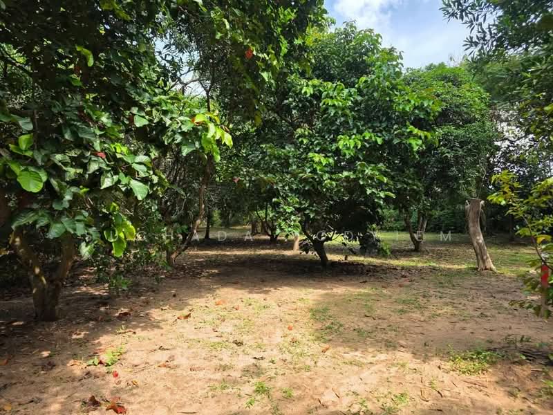 บ้าน 2-ห้องนอน, กรุงเทพ, พระบรมมหาราชวัง, พระนคร, กรุงเทพ, 93 ตร.ม., บ้านเดี่ยว ขาย, โดย Suchada Yodyiem, 500268670 - DDproperty.com