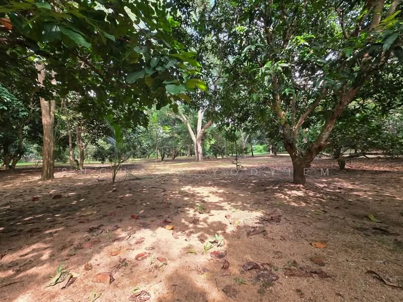 2-BR House, Bangkok, Praborommaharatchawang, Phra Nakhon, Bangkok, 2 Bedrooms, 93 sqm, Single Detached House For Sale, by Suchada Yodyiem, 500268670 - DDproperty.com