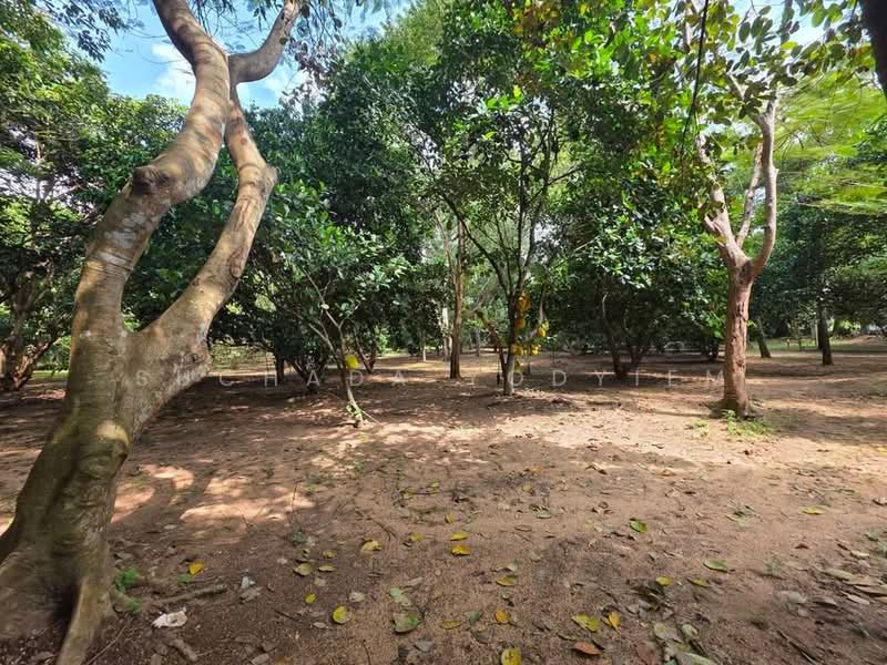 2-BR House, Bangkok, Praborommaharatchawang, Phra Nakhon, Bangkok, 2 Bedrooms, 93 sqm, Single Detached House For Sale, by Suchada Yodyiem, 500268670 - DDproperty.com