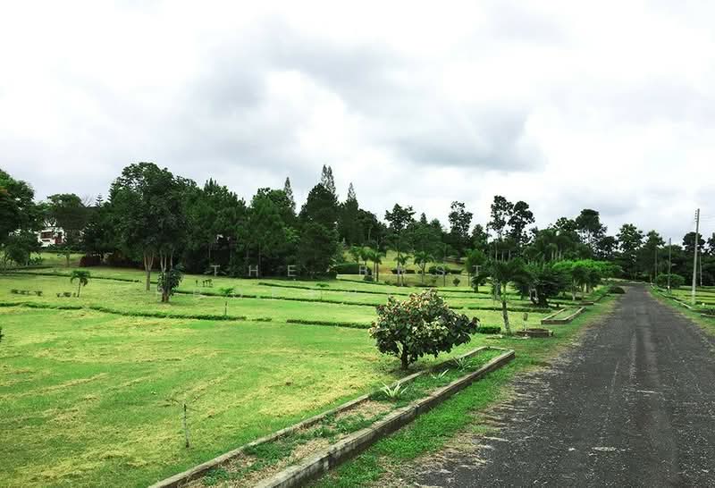 ที่ดินเขาค้อ เพชรบูรณ์, Phetchabun, Khaem Son, Khao Kho, Phetchabun, , 1,236 sqm, Land For Sale, by The Best Property ไก่, 500268722 - DDproperty.com