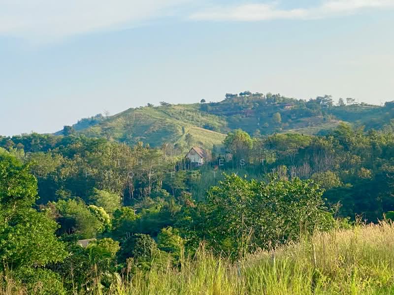 ที่ดินเขาค้อ เพชรบูรณ์, Phetchabun, Khaem Son, Khao Kho, Phetchabun, , 1,236 sqm, Land For Sale, by The Best Property ไก่, 500268722 - DDproperty.com