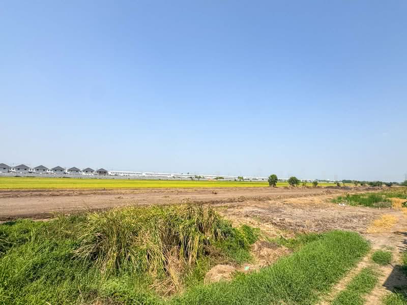 Master Home ลำลูกกา คลอง 7, Pathum Thani, เลียบคลอง 7, Lam Luk Ka, Lam Luk Ka, Pathum Thani, 2 Bedrooms, 100 sqm, Townhouse For Sale, by Somchai Ruechajirakit, 500268928 - DDproperty.com