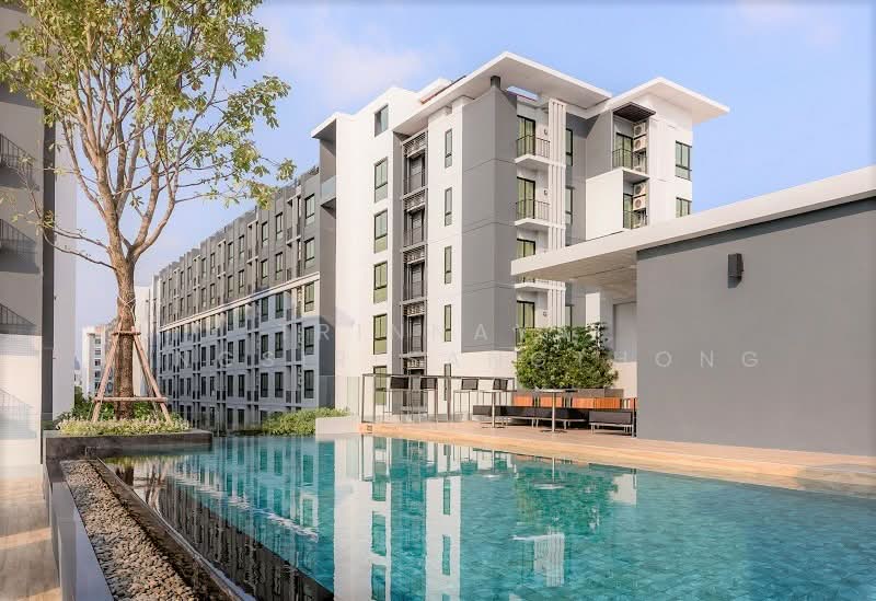 Notting Hill Sukhumvit 105, Bangkok, 105 Sukhumvit, Bang Na, Bang Na, Bangkok, 2 Bedrooms, 45 sqm, Condo For Rent, by Trinnaya Dungsirisangthong, 500269067 - DDproperty.com