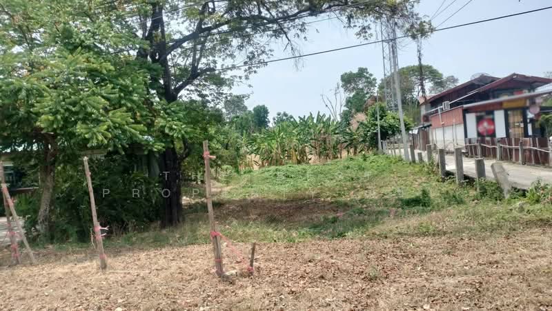 ที่ดินในเมือง พิษณุโลก, Phitsanulok, Nai Muang, Muang Phitsanulok, Phitsanulok, , 512 sqm, Land For Sale, by The Best Property ณิชา, 500269071 - DDproperty.com