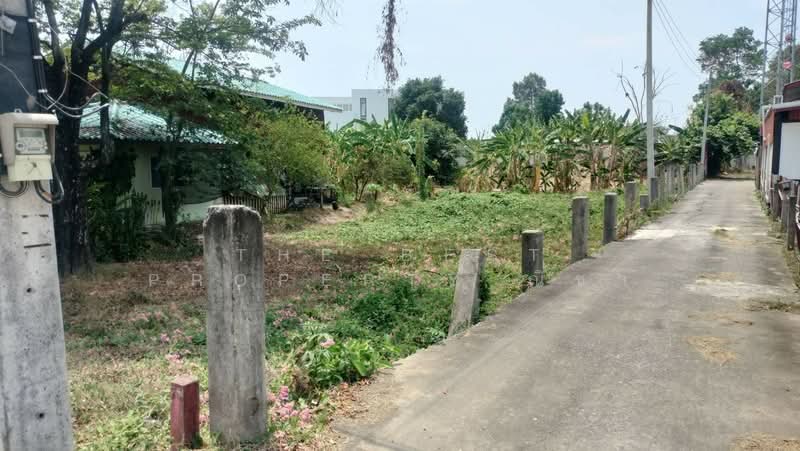 ที่ดินในเมือง พิษณุโลก, พิษณุโลก, ในเมือง, เมืองพิษณุโลก, พิษณุโลก, 512 ตร.ม., ที่ดิน ขาย, โดย The Best Property ณิชา, 500269071 - DDproperty.com