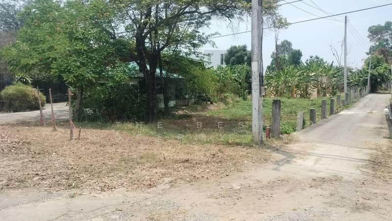ที่ดินในเมือง พิษณุโลก, Phitsanulok, Nai Muang, Muang Phitsanulok, Phitsanulok, , 512 sqm, Land For Sale, by The Best Property ณิชา, 500269071 - DDproperty.com
