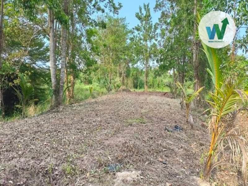 land Cha-uat, Nakhon Si Thammarat, สายไม้เสียบ-ชะอวด, Tha Pracha, Cha-uat, Nakhon Si Thammarat, , 488 sqm, Land For Sale, by สุมนทา กรรณนุช, 500269086 - DDproperty.com