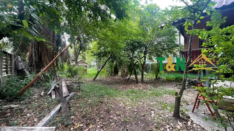 ที่ดินพร้อมสิ่งปลูกสร้าง 2 ไร่ พระราม 9 ซอย 57/1 และ หัวหมาก 21, กรุงเทพ, พัฒนาการ, สวนหลวง, กรุงเทพ, 3,884 ตร.ม., ที่ดิน ขาย, โดย MANANYA PHATHONG, 500269097 - DDproperty.com