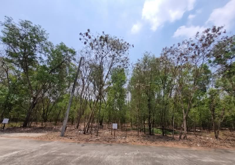 ขายที่ดิน 3 โฉนดติดกัน ต.บึงบา อ.หนองเสือ จ.ปทุมธานี บนทำเลจุดเชื่อมต่อที่ดีที่สุดของหนองเสือ, Pathum Thani, Bung Ba, Nong Sua, Pathum Thani, , 748 sqm, Land For Sale, by ไตรยศิริ เตมหิวงศ์, 500269146 - DDproperty.com