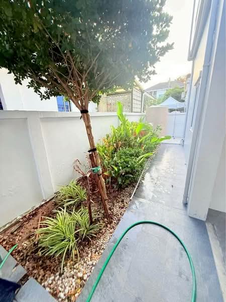 3-BR House, Chon Buri (Pattaya), Nong Pru, Bang Lamung (Pattaya), Chon Buri (Pattaya), 3 Bedrooms, 150 sqm, Single Detached House For Rent, by Phonphen Tangphong, 500269189 - DDproperty.com