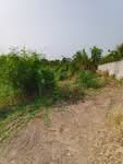ที่ดินพุทธมณฑล นครปฐม, นครปฐม