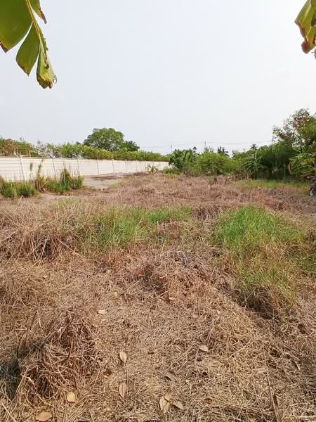 ขาย - ที่ดินพุทธมณฑล นครปฐม, นครปฐม