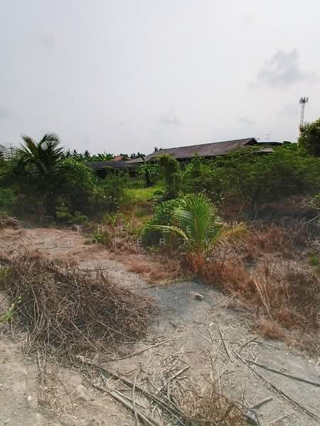 ขาย - ที่ดินพุทธมณฑล นครปฐม, นครปฐม