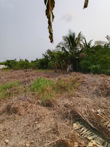 For Sale - ที่ดินพุทธมณฑล นครปฐม, Nakhon Pathom