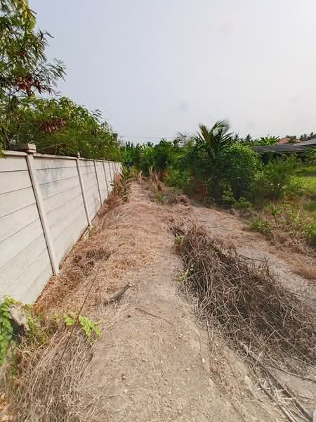 For Sale - ที่ดินพุทธมณฑล นครปฐม, Nakhon Pathom