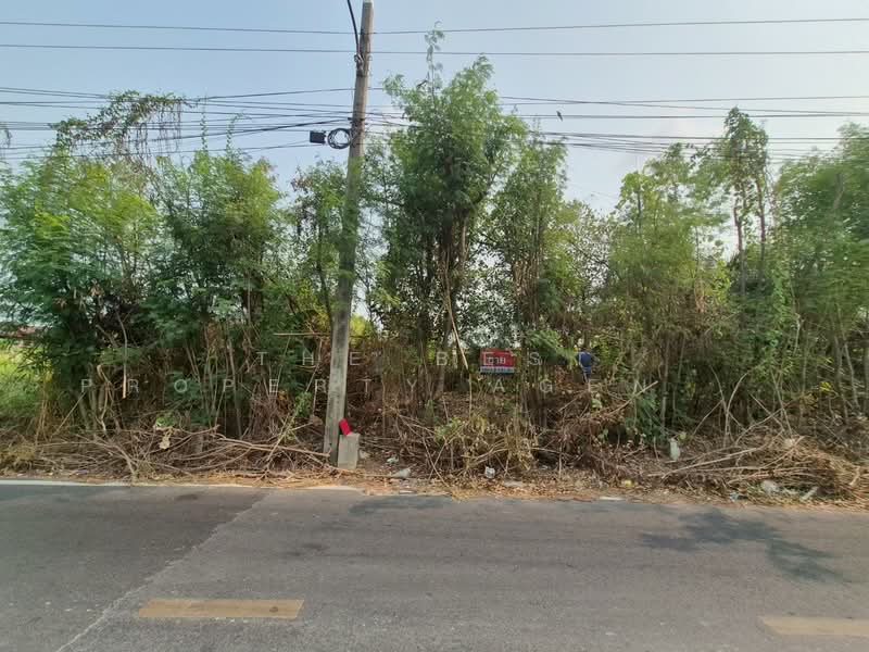 ขาย - ที่ดินพุทธมณฑล นครปฐม, นครปฐม