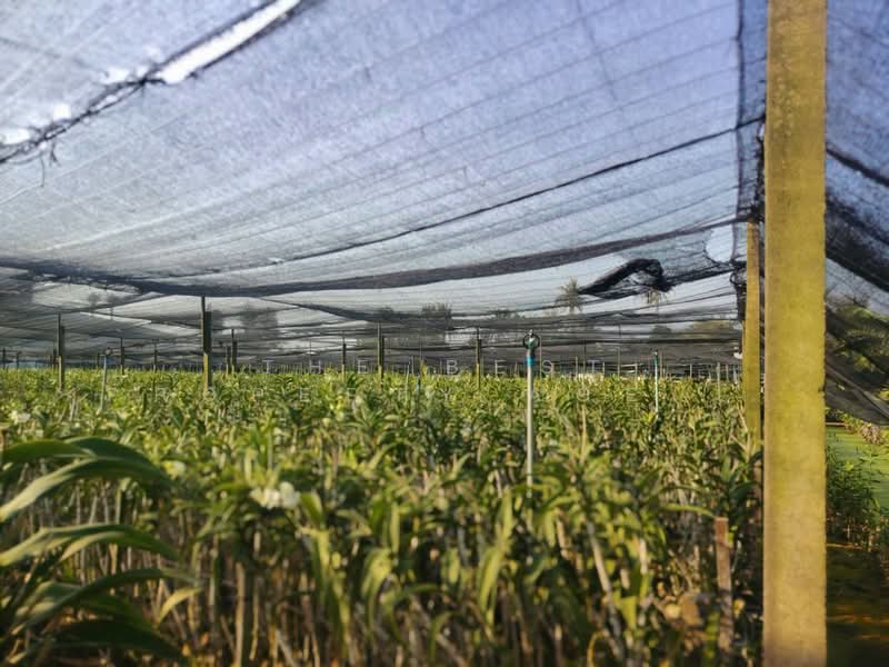 ขาย - ที่ดินสามพราน นครปฐม, นครปฐม