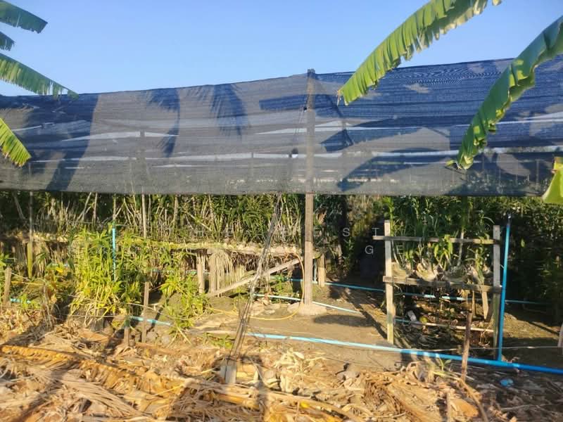 ขาย - ที่ดินสามพราน นครปฐม, นครปฐม