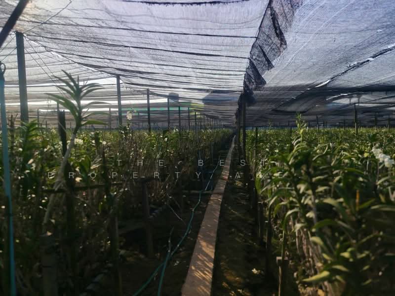 ขาย - ที่ดินสามพราน นครปฐม, นครปฐม