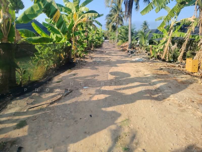 ขาย - ที่ดินสามพราน นครปฐม, นครปฐม