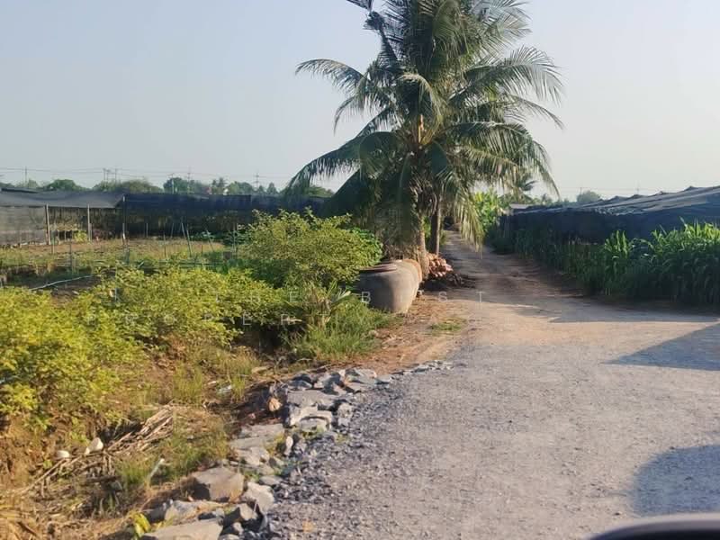 ขาย - ที่ดินสามพราน นครปฐม, นครปฐม