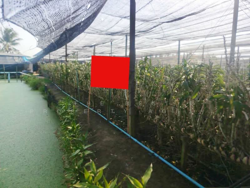 ที่ดินสามพราน นครปฐม, Nakhon Pathom, Ban Mai, Sam Phran, Nakhon Pathom, , 4,428 sqm, Land For Sale, by The Best Property Agent จอย, 500269382 - DDproperty.com