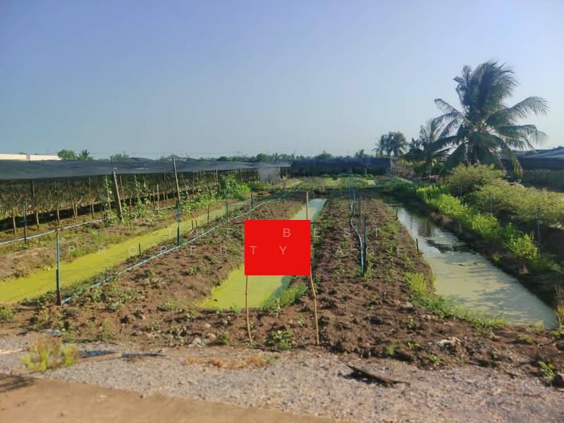 ที่ดินสามพราน นครปฐม, Nakhon Pathom, Ban Mai, Sam Phran, Nakhon Pathom, , 4,428 sqm, Land For Sale, by The Best Property Agent จอย, 500269382 - DDproperty.com