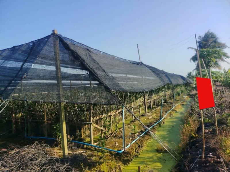 ขาย - ที่ดินสามพราน นครปฐม, นครปฐม