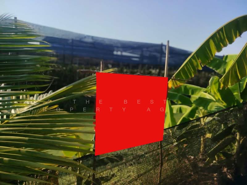 ที่ดินสามพราน นครปฐม, Nakhon Pathom, Ban Mai, Sam Phran, Nakhon Pathom, , 4,428 sqm, Land For Sale, by The Best Property Agent จอย, 500269382 - DDproperty.com