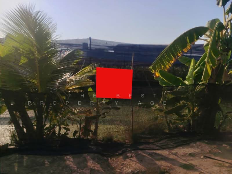 ที่ดินสามพราน นครปฐม, Nakhon Pathom, Ban Mai, Sam Phran, Nakhon Pathom, , 4,428 sqm, Land For Sale, by The Best Property Agent จอย, 500269382 - DDproperty.com