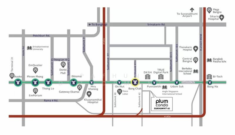 Plum Condo Sukhumvit 62, Bangkok, Sukhumvit 62, Bang Chak, Phra Khanong, Bangkok, 1 Bedroom, 30 sqm, Condo For Rent, by Pafhun  Detnopmani , 500269387 - DDproperty.com