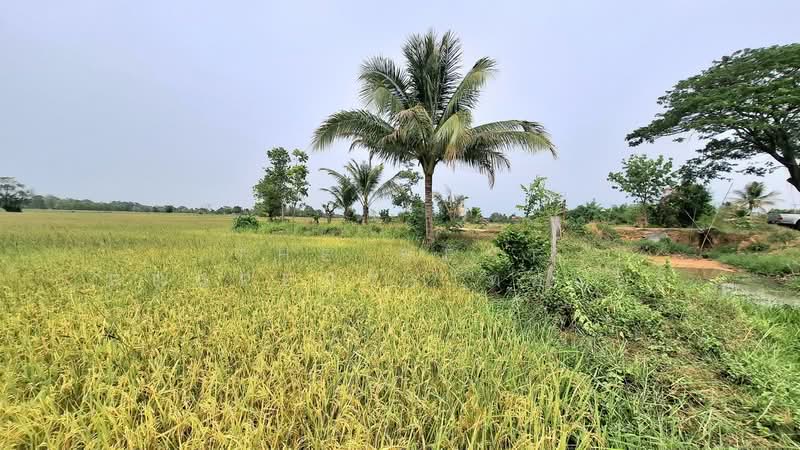 ที่ดินจังหาร ร้อยเอ็ด, ร้อยเอ็ด, ดงสิงห์, จังหาร, ร้อยเอ็ด, 12,160 ตร.ม., ที่ดิน ขาย, โดย The Best Property ทองใบ, 500269450 - DDproperty.com