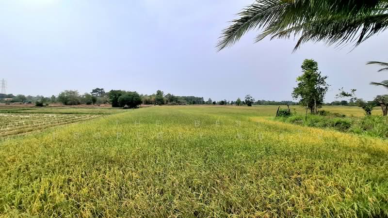 ที่ดินจังหาร ร้อยเอ็ด, ร้อยเอ็ด, ดงสิงห์, จังหาร, ร้อยเอ็ด, 12,160 ตร.ม., ที่ดิน ขาย, โดย The Best Property ทองใบ, 500269450 - DDproperty.com
