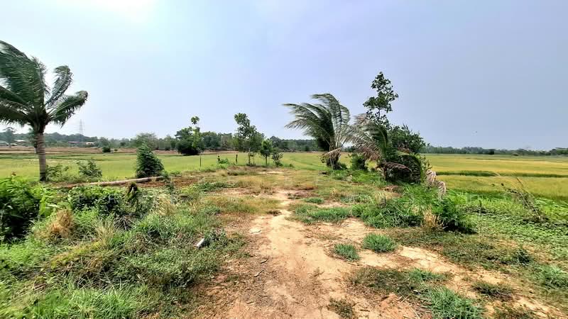 ที่ดินจังหาร ร้อยเอ็ด, ร้อยเอ็ด, ดงสิงห์, จังหาร, ร้อยเอ็ด, 12,160 ตร.ม., ที่ดิน ขาย, โดย The Best Property ทองใบ, 500269450 - DDproperty.com