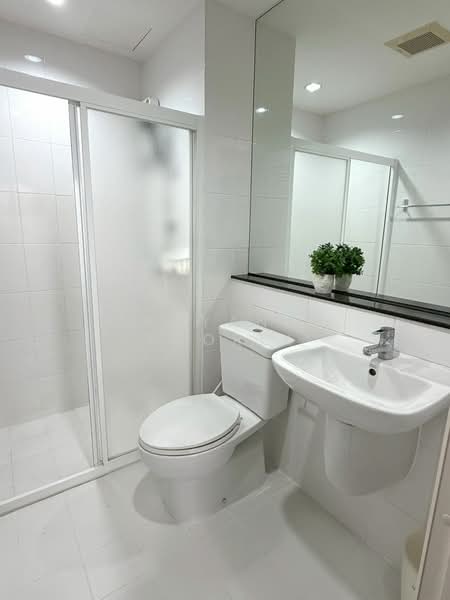 The Tree Bang Po Station, Bangkok, Pracharat Sai 1 Road, Bang Sue, Bang Sue, Bangkok, 2 Bedrooms, 60 sqm, Condo For Rent, by Tanyanee Paorik, 500269610 - DDproperty.com