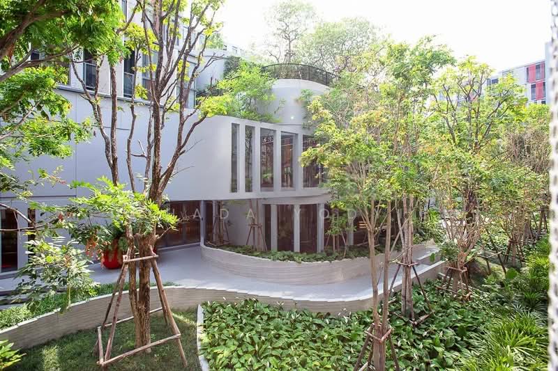 Taka Haus : ทากะ เฮาส์, กรุงเทพ, 99 ซอยเอกมัย 10, คลองตันเหนือ, วัฒนา, กรุงเทพ, 62 ตร.ม., คอนโด ขาย, โดย Suchada Yodyiem, 500269664 - DDproperty.com