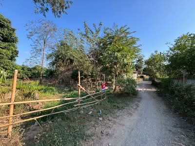 ขาย - ที่ดินสันทราย เชียงใหม่, เชียงใหม่