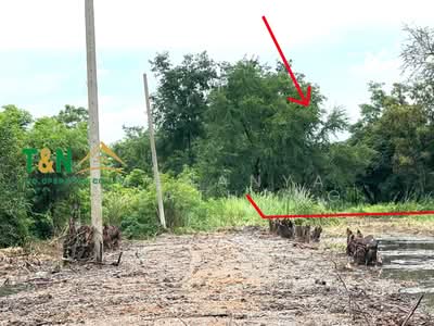 ขาย - ที่ดินเปล่า 2 แปลง 2 ไร่ ธัญบุรี คลอง 11, ปทุมธานี