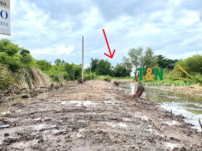 ขาย - ที่ดินเปล่า 2 แปลง 2 ไร่ ธัญบุรี คลอง 11, ปทุมธานี