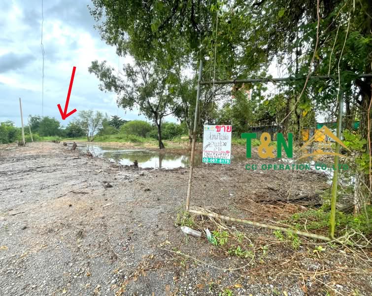 ขาย - ที่ดินเปล่า 2 แปลง 2 ไร่ ธัญบุรี คลอง 11, ปทุมธานี