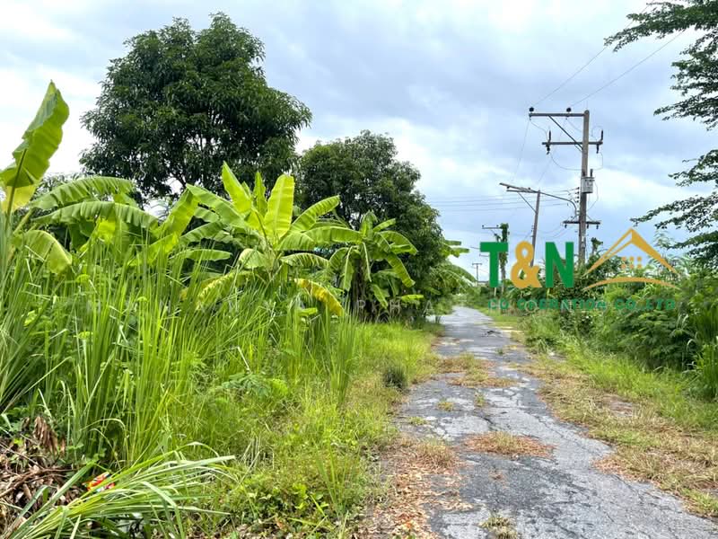 ขาย - ที่ดินเปล่า 2 แปลง 2 ไร่ ธัญบุรี คลอง 11, ปทุมธานี